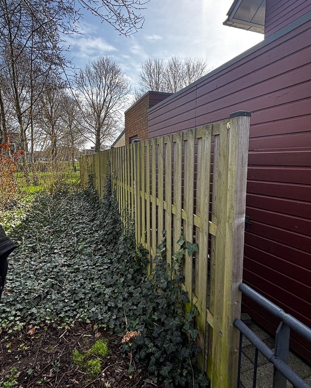 Dezelfde tuin voor plaatsing, met oude houten tuinhekjes en klimop